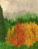 Fall_Foliage_On_Display_Whitsitt