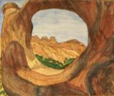 New_Discovery_Donna_Whitsitt