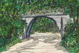 Suburban_Path_Donna_Whitsitt