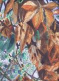 Autumns_Jewels_Donna_Whitsitt.jpg