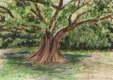 Green_Leaves_Of_Summer_Donna_Whitsitt.jpg
