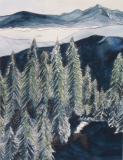 Nature's Revealing Light