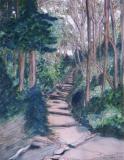 Chosen Path